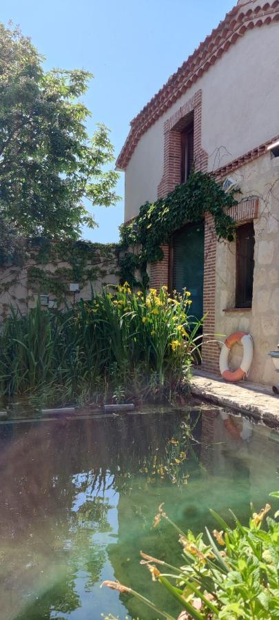Viento De Ladera Piscina Natural Y Jacuzzi Ext 塞哥维亚 外观 照片