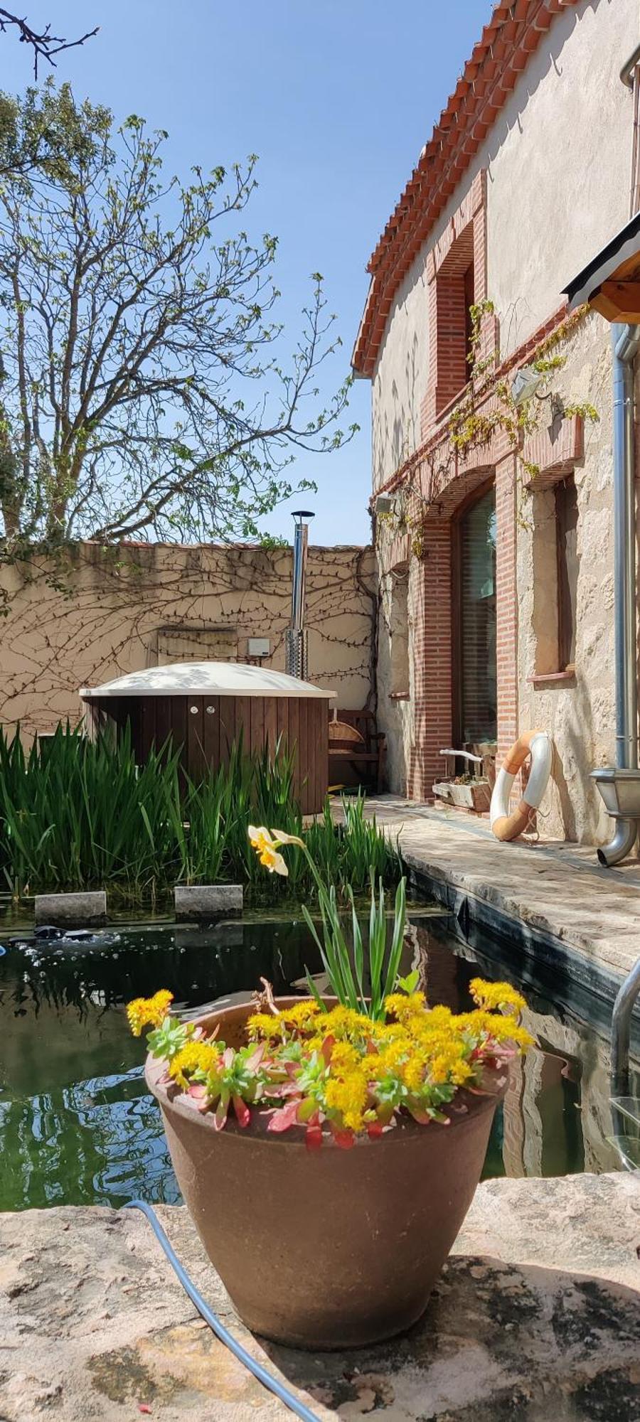 Viento De Ladera Piscina Natural Y Jacuzzi Ext 塞哥维亚 外观 照片