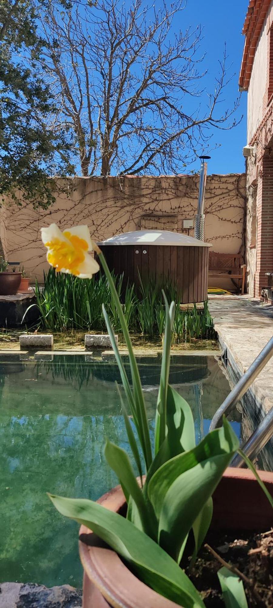 Viento De Ladera Piscina Natural Y Jacuzzi Ext 塞哥维亚 外观 照片