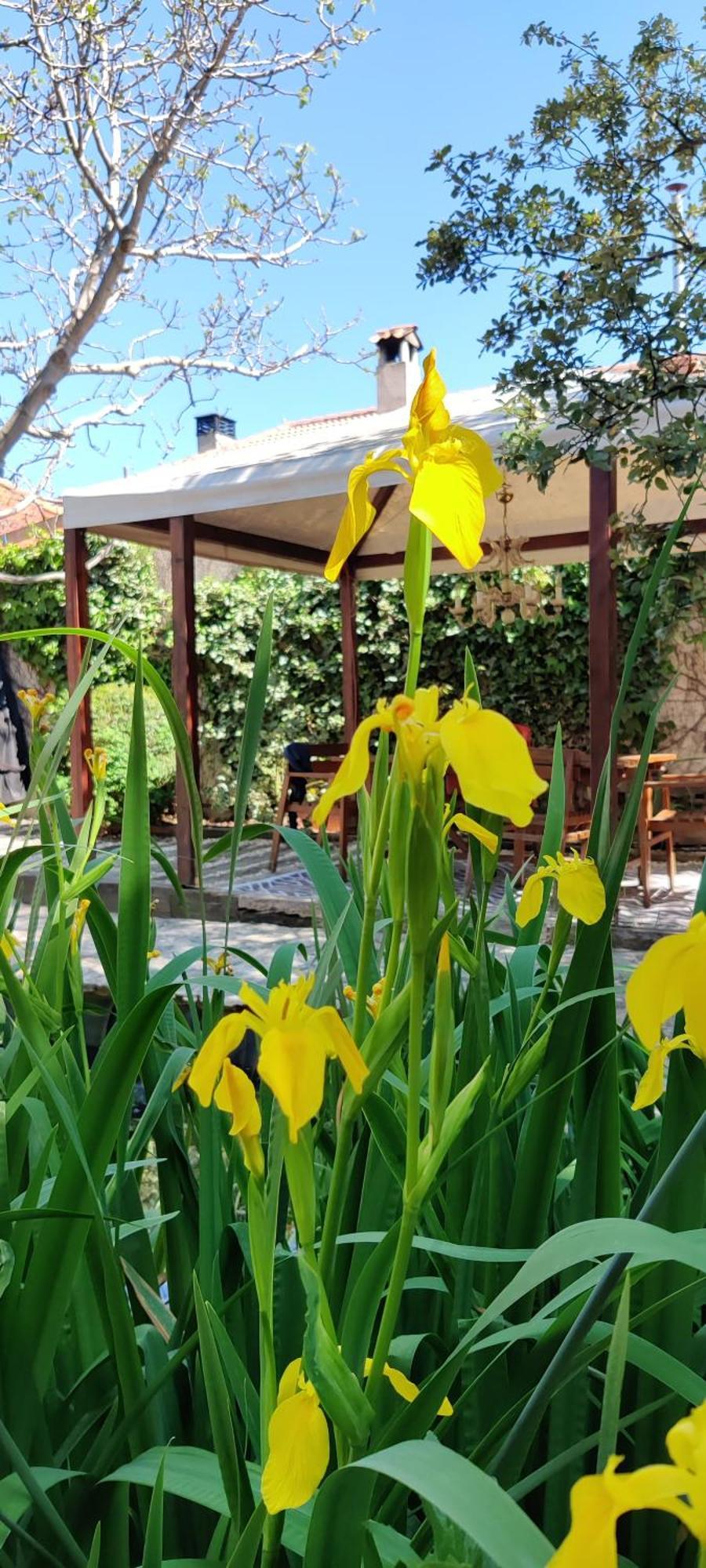 Viento De Ladera Piscina Natural Y Jacuzzi Ext 塞哥维亚 外观 照片